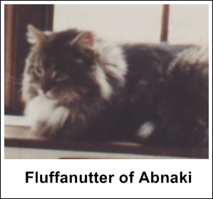 CH Fluffanutter of Abnaki, MCO n 09 22, født 9. juni 1969 F3 