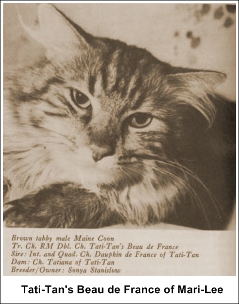 CH Tati-Tan Beau de France of Mari-Lee, MCO n 22, født 11. juli 1968