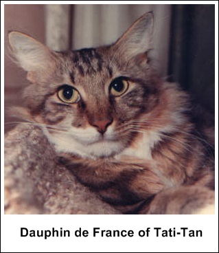 Dauphin de France of Tati-Tan