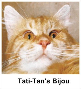 GC Tati-Tan Bijou MCO d 22, født 28 mai 1969