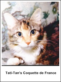 GC Tati-Tan Coquette de France