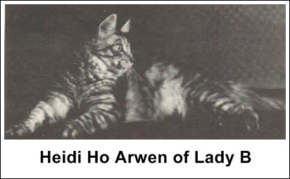 Heidi Ho Arwen of Lady B