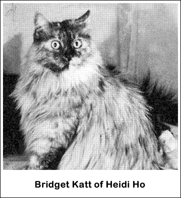 Bridget Katt