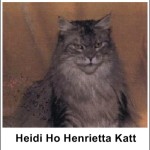 Heidi Ho Henrietta Katt