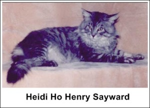 Heidi Ho Henry Sayward