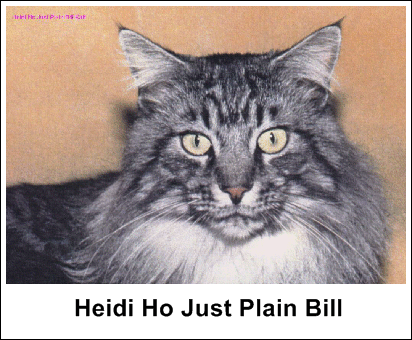 Heidi Ho Just Plain Bill