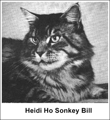 Heidi Ho Sonkey Bill 