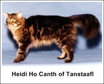QGC Heidi Ho Canth of Tanstaafl 
