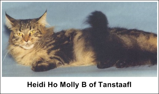 SGC Heidi Ho Molly B. of Tanstaafl 