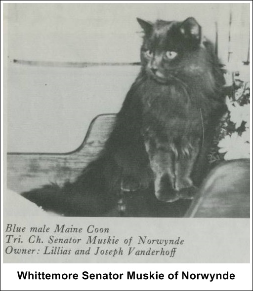 Whittemore Senator Muskie of Norwynde, M, MCO a, 1968-07-17