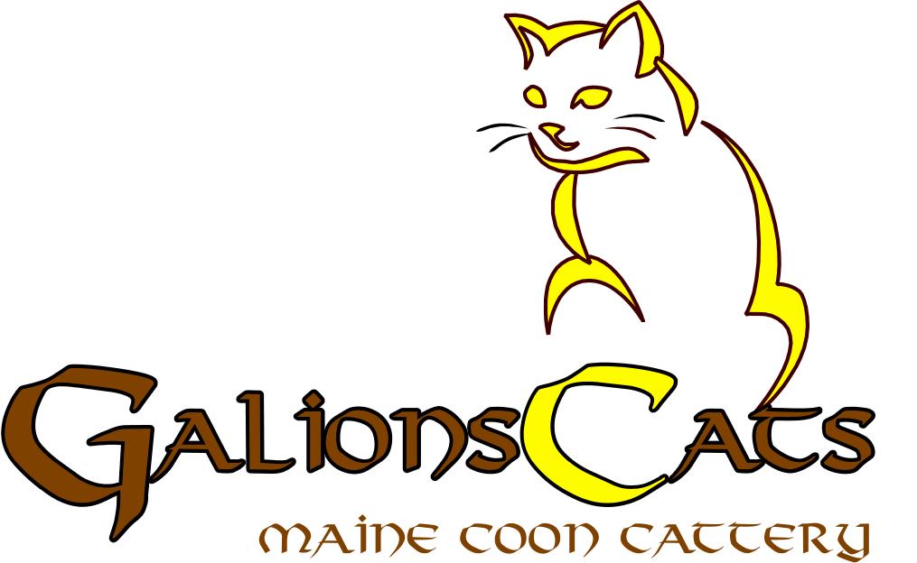 Galionscats